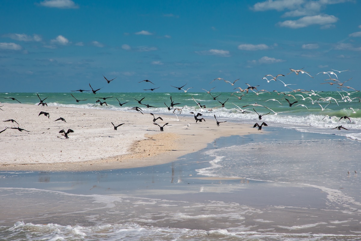 A picture of How to Get to Egmont Key with Island Way Excursions